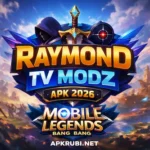 Raymond Tv Modz