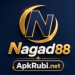 Nagad88 App